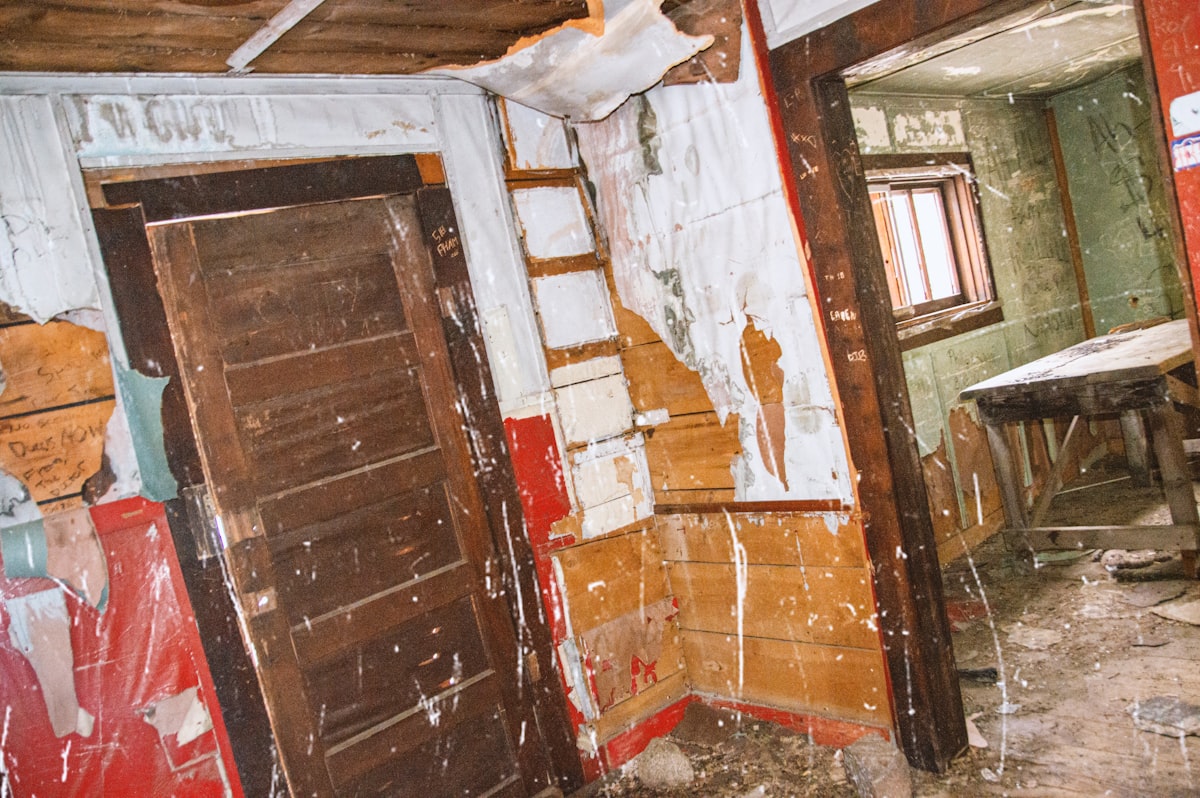 Mold Remediation service in Loveland, CO