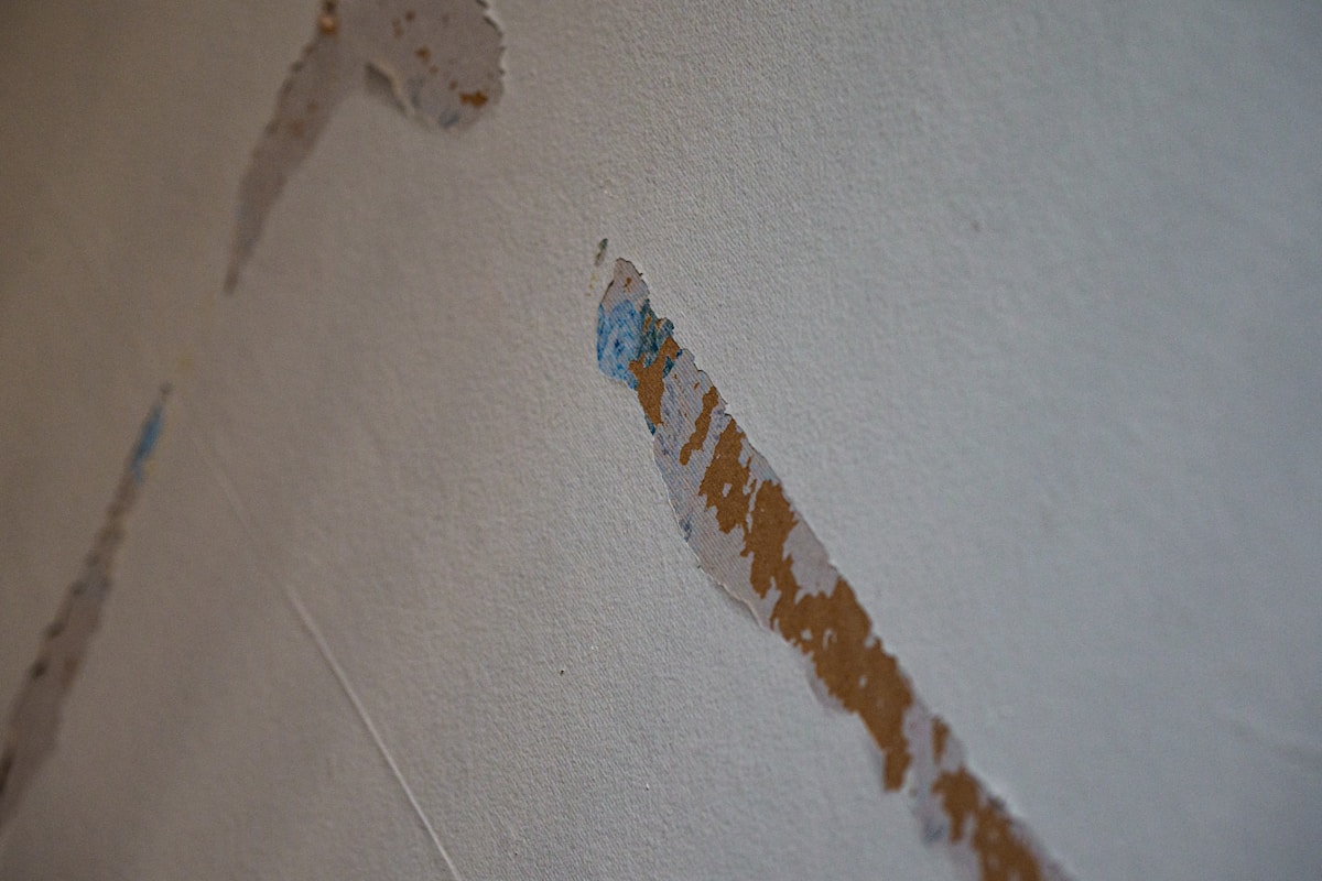 Basement Water Removal service in Loveland, CO